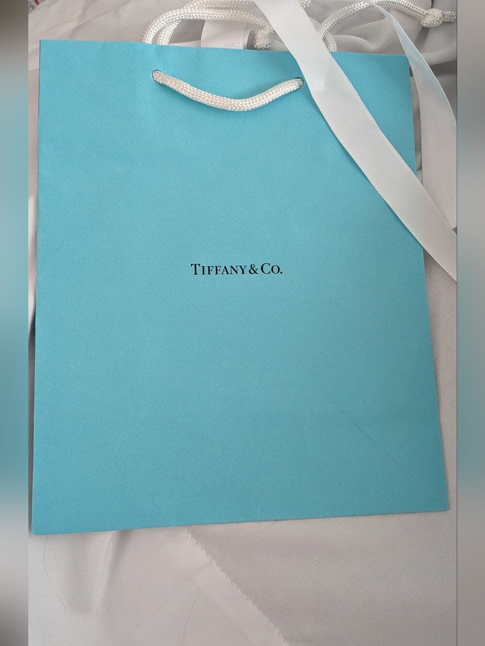 Tiffany & Co Gift Bag